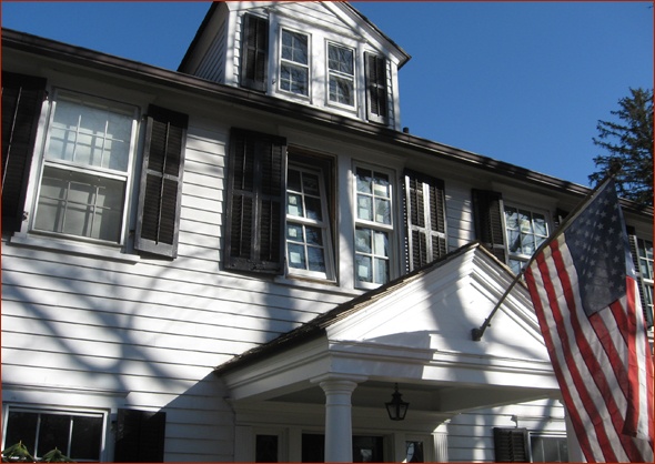 Replacement window sashes