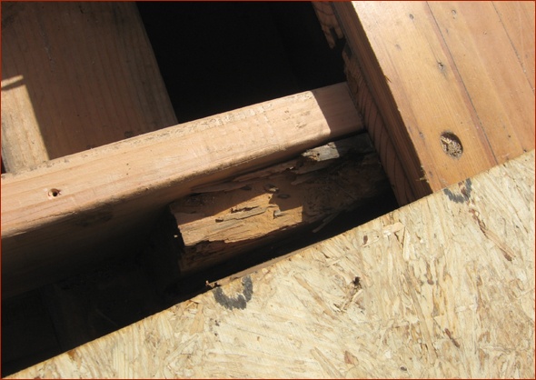 Joists sistered for reinforcement.