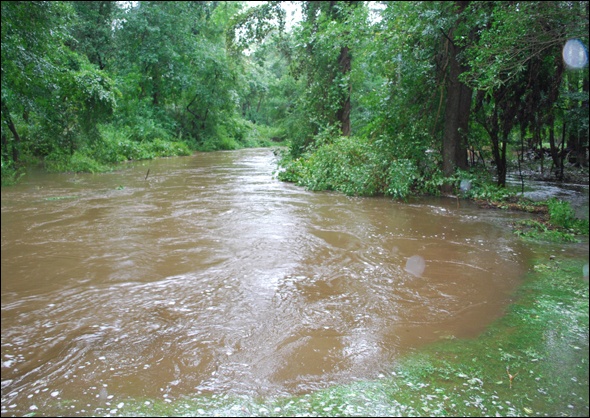 High water in Silvermine river, Wilton, CT