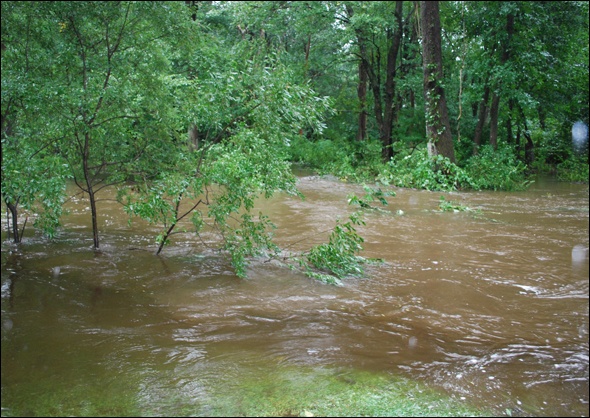 Another view of the Silvermine River.