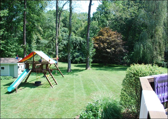 Sunny day in the beautiful backyard