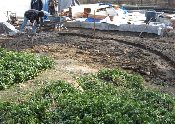 sidewalk is repositioned, and plantings retained