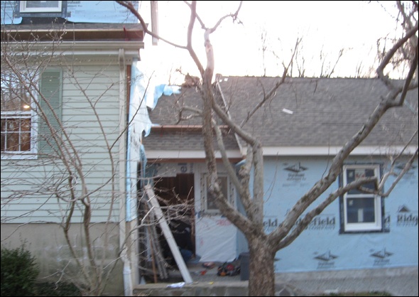 Tree which was saved in the front yard.